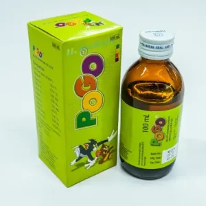 Pogo 100ml